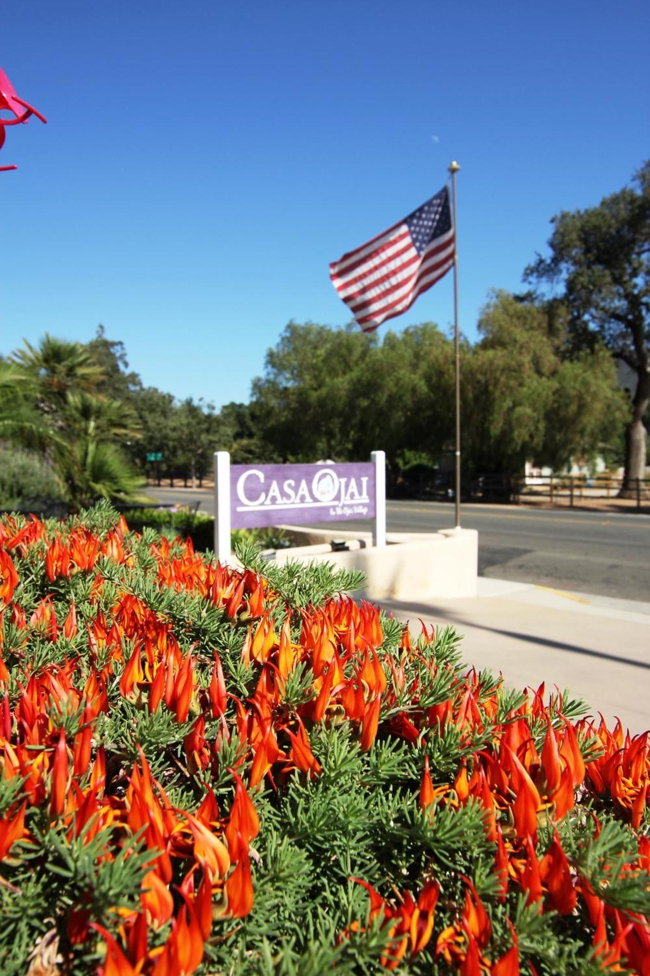 Casa Ojai Inn Exteriér fotografie