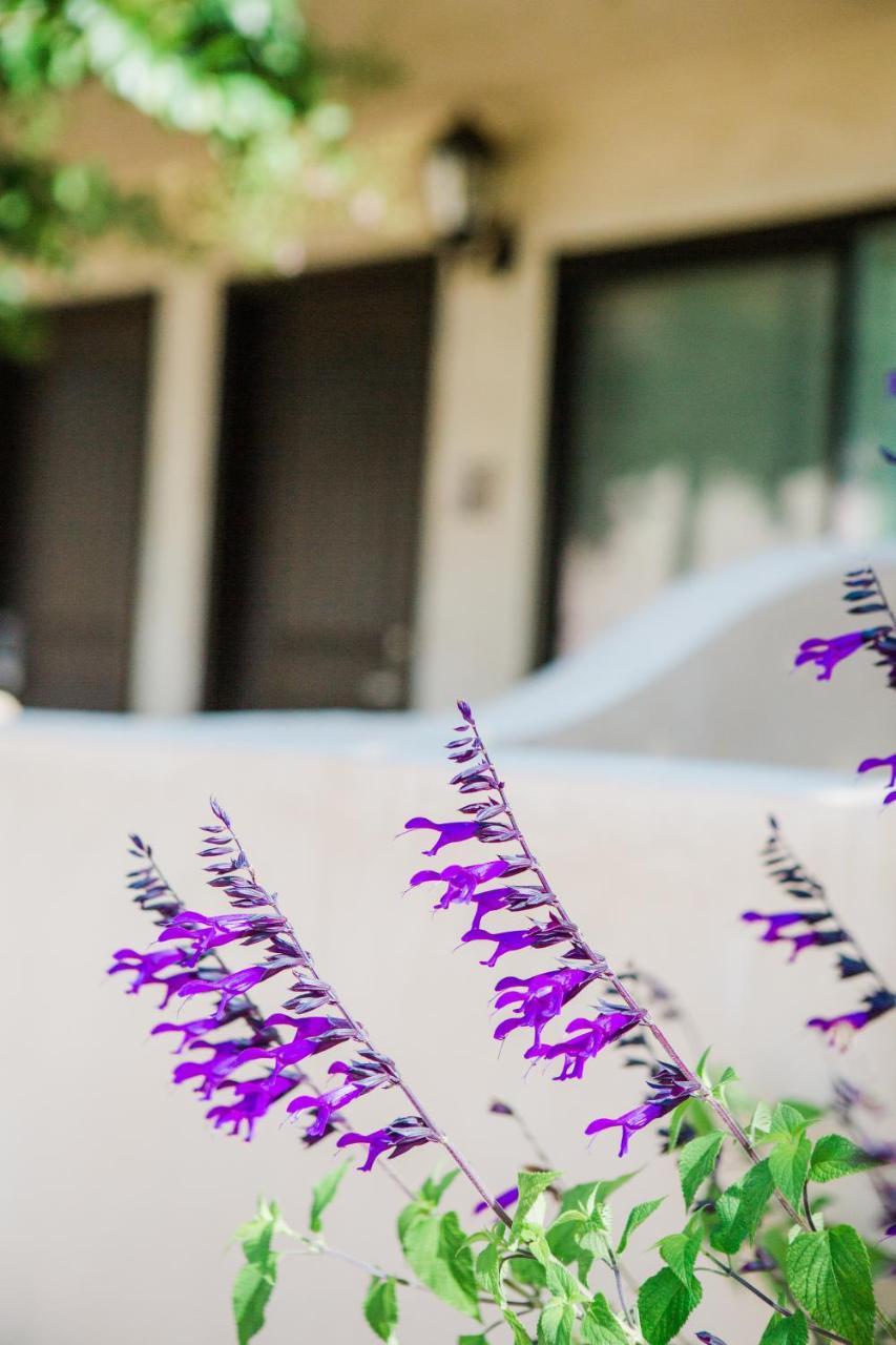Casa Ojai Inn Exteriér fotografie